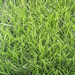 Искусственная трава Bellinturf Bellin-Evolution 40 мм