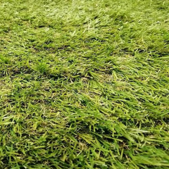 Искусственная трава Bellinturf Rainbow 40 мм