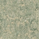 Лінолеум Grabo Top Extra 4213