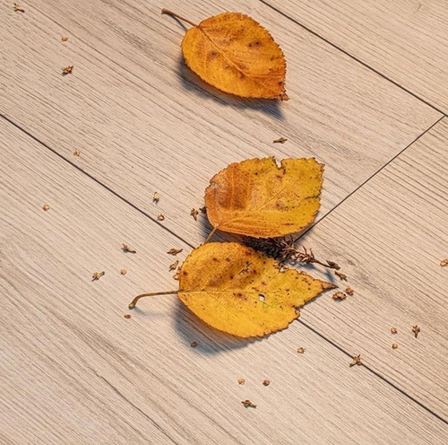 Ламінат Kaindl AQUApro Select Natural Touch 12.0 Oak Evoke Sandolo K4425