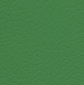 Линолеум LG Hausys Leisure 4.0 Dark Green Dark Green