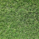 Искусственная трава Condor Admire 2512