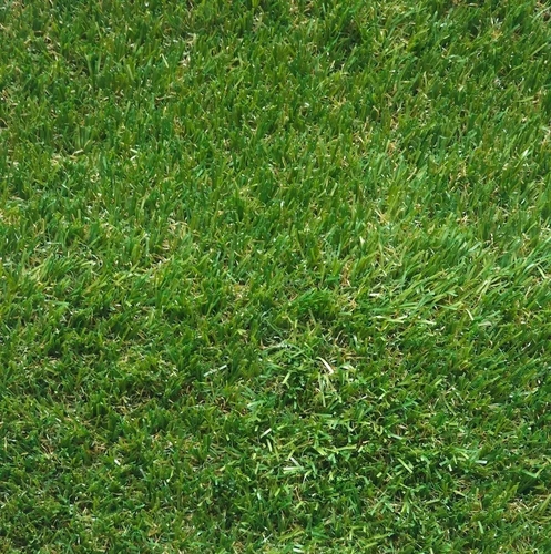 Искусственная трава Condor Charlie 2820