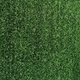 Искусственная трава Congrass Bessarabia 7 