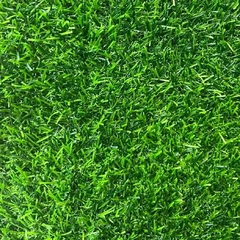 Искусственная трава Prettie Grass Karpatia 18