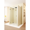 Душевая дверь Riho SZ Scandic M105-88 Left Left