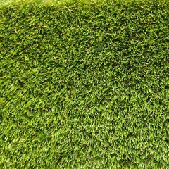 Искусственная трава Prettie Grass Magnolia 30