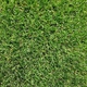Искусственная трава Orotex Mystic 35
