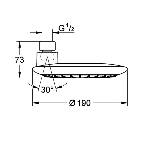 Верхній душ Grohe Rainshower Icon 27371000
