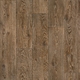 Лінолеум Tarkett Evolution Raymond 4 4