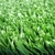 Искусственная трава MoonGrass 20 мм Рулон