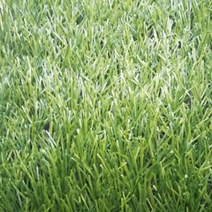 Искусственная трава Bellinturf Bellin-Stem 40 мм футбол