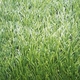 Искусственная трава Bellinturf Bellin-Stem 40 мм футбол Отрез Отрез