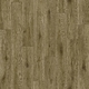 Лінолеум Tarkett Absolut Tudor 4 4